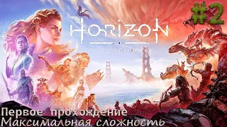 Чилим и расслабляемся на харде◉➤Horizon Запретный Запад◉➤Прохождение ◉➤#2