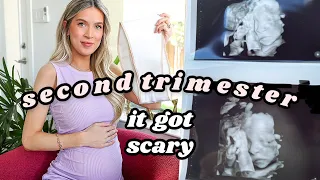 SECOND TRIMESTER RECAP: scary times/high risk, weird symptoms, products that saved me | leighannsays