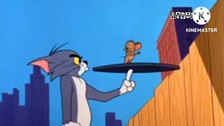 Tom and Jerry Tom Ic Energy reversed
