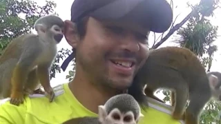 Isla de los micos Leticia Colombia Amazonas