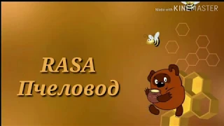 Караоке RASA - Пчеловод (текст песни)