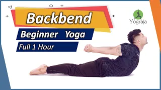 BEGINNER YOGA - BACKBEND | YOGRAJA