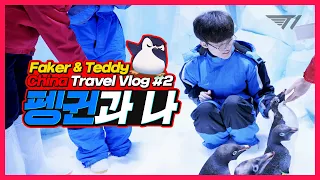 Faker and Teddy Meet Penguins | T1 on the Road in China EP.2