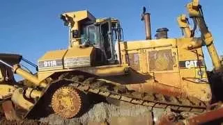 CAT D11R