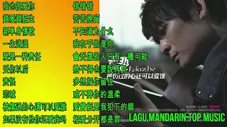 20 Lagu Mandarin Liu Zhe 六哲 的热门歌曲 Part 2