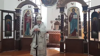 2019 06 06 Проповідь на Вознесіння Господнє