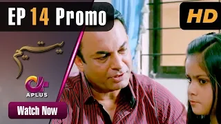 Pakistani Drama | Yateem - Episode 14 Promo |  Aplus | Sana Fakhar, Noman Masood, Maira Khan| C2V1