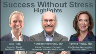 Success Without Stress: Dr. Peeke & Dr. Rosenthal | Highlights | David Lynch Foundation