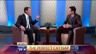 Today Show : The perfect cat nap