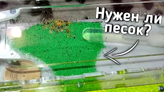 Зачем нужен песок в формикарии? Муравьи в муравьиной ферме от Top ant