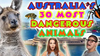 Australia's 30 Most Dangerous Animals