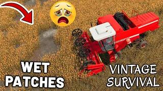 I BOUGHT A NEW FIELD WITH WET PATCHES  | Vintage Survival | Farming Simulator 22 - Episode 35