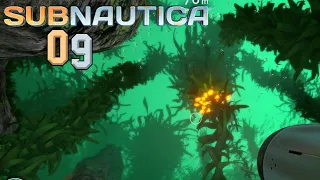 SUBNAUTICA 🌊 Höhlentouren werden GANZ fürchterlich! | LETS PLAY | #009