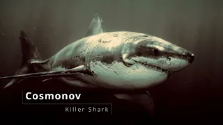 Cosmonov - Killer Shark