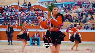 Danza Soqa Machu Ch'ullpa - Festival de Danzas Llusco 2023