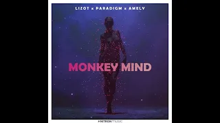 Monkey Mind - LIZOT x Paradigm x AMELY x Crypto Beat Remix