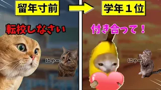 私が留年寸前→学年1位を取るまでの話 (実話)【猫ミーム】