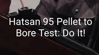 Hatsan 95, Do This Test, Pellet to Bore Test: Not Good!