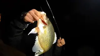Chicago Winter Crappie Fishing in Freezing Temperatures || Crappie Fishing tips in actual Winter