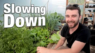 Entire Day on the Allotment | Weeding, Mowing, Planting Flowers & Much More!