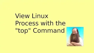 View Linux Processes with top