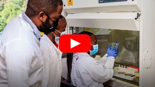 Accelerating Measles and Rubella Testing in 120 Countries   (60 sec)