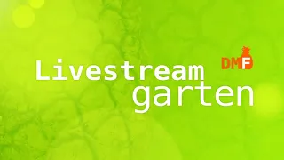 Der große DMF Livestreamgarten