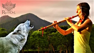 Beautiful Relaxing Flute Of Native American Indians +Wolf Songs +Sounds Of Nature -Sleep, Meditation
