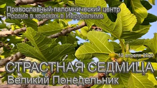 Великий Понедельник | Святая Земля | Страстная Седмица | Израиль