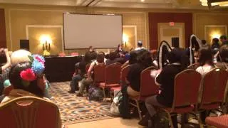 AnimeNEXT 2014 Matt Mercer's Panel