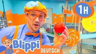 Blippi Deutsch - Blippi entdeckt Longos Bucht | Abenteuer und Videos für Kinder