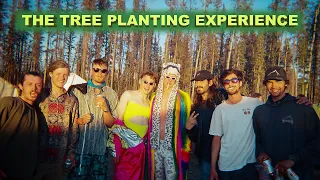 The Tree Planting Experience