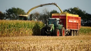 Majs 2014 | krone Big X, Claas Jaguar, Fendt, Case IH, Fliegl, Schuitemaker | Maize / Mais / Corn