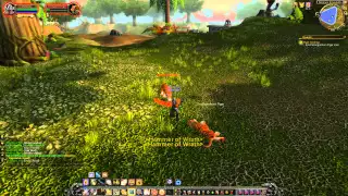 Quest 200: Tiger Stalking (WoW, human, paladin)