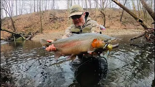 Trout Fishing New Years Day (2023) GIANT Rainbow Trout Surprise #trout #fishing #stcroix