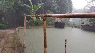 heavy rain pouring in beautiful village || cool and peaceful rural atmosphere