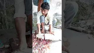 Shorts || Amazing Fish Cutting Skills Live In Fish Market #shorts #fh_fish_cutting