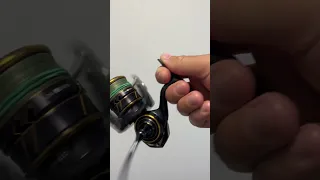 Daiwa Caldia LT 2021 усих розмірів.