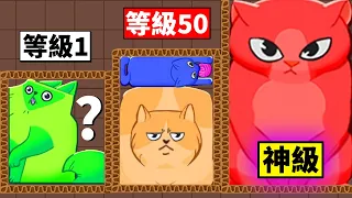 我把９９９９隻貓咪塞進箱子裡！？【Puzzle Cats】