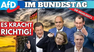 🔥 AfD im Bundestag 🔥 Unfassbar was da AB GEHT ⁉️😮 Brandner, Jongen, Kleinwächter uvm.