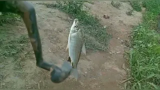 #Pescaria no pesqueiro do Rio Paraopeba na região dos sem terra.