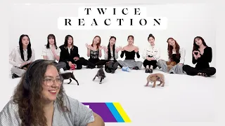 [TWICE] The Puppy Interview | "TIME TO TWICE" TDOONG High School EP.04 | REACTION