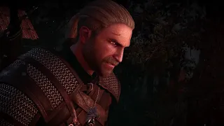 The Witcher 3 Wild Hunt TRIBUTE