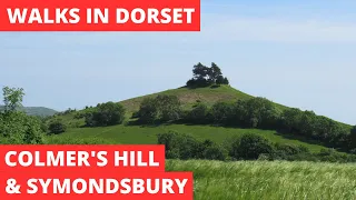 WALKS IN DORSET at SYMONDSBURY & COLMER'S HILL (AND HELL LANE) (4K)