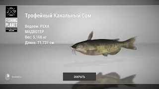 Fishing Planet - Как ловить Канального Сома на реке Мадвотер?