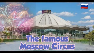 This Moscow circus is famous in Europe#circus #moscow