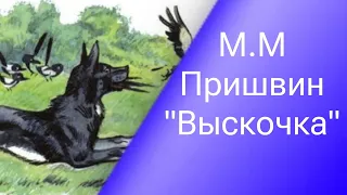 Михаил Михайлович Пришвин "Выскочка" краткий пересказ