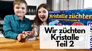 Wir züchten eine Kristall Druse - Wie geht das? mit Kosmos - Experimentieren mit den Winnies