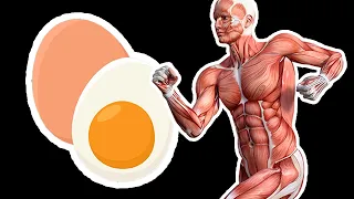 Eat 2 Eggs Every Morning And This Is What Happens To Your Body