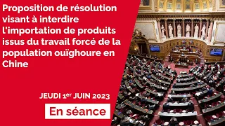 Proposition de résolution sur le travail forcé de la population ouïghoure